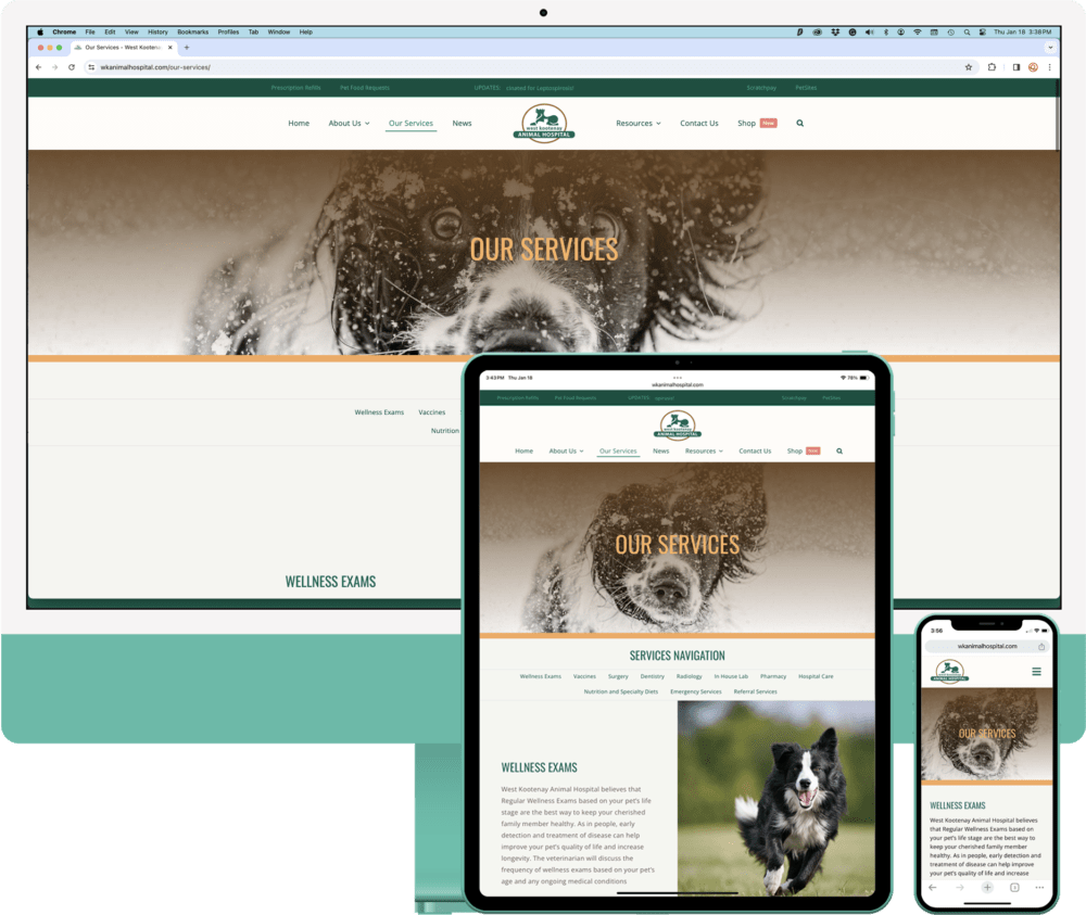 West Kootenay Animal Hospital in Trail BC - Responsive Web Design